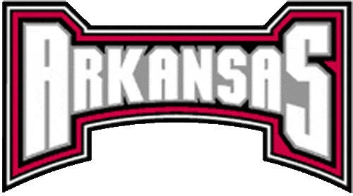 Arkansas Razorbacks 2001-2008 Wordmark Logo v6 iron on transfers for fabric